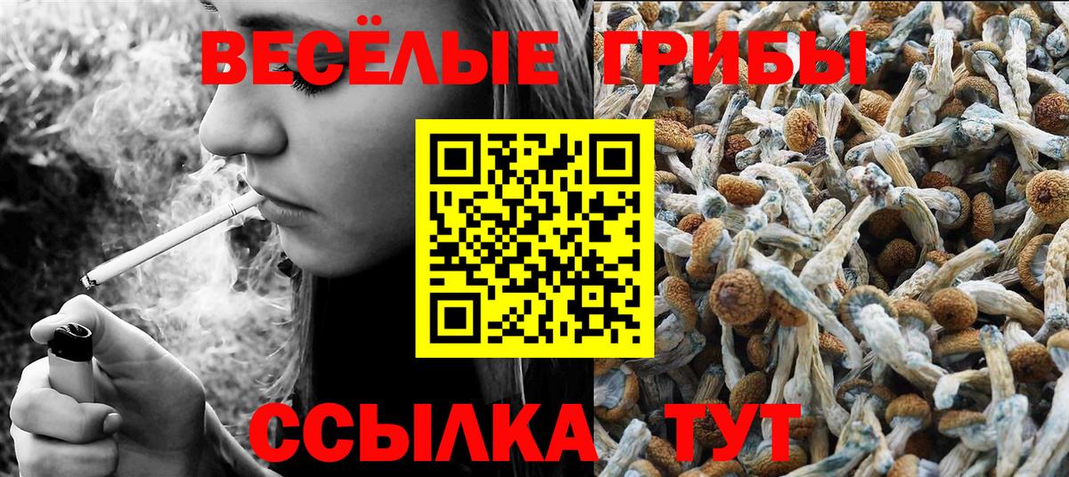 Псилоцибиновые грибы Cubensis  Галлюциногенные грибы ЛСД  наркота  Дюртюли  Вход с VPN 